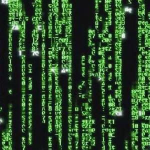 Meet your Posher, Sheri